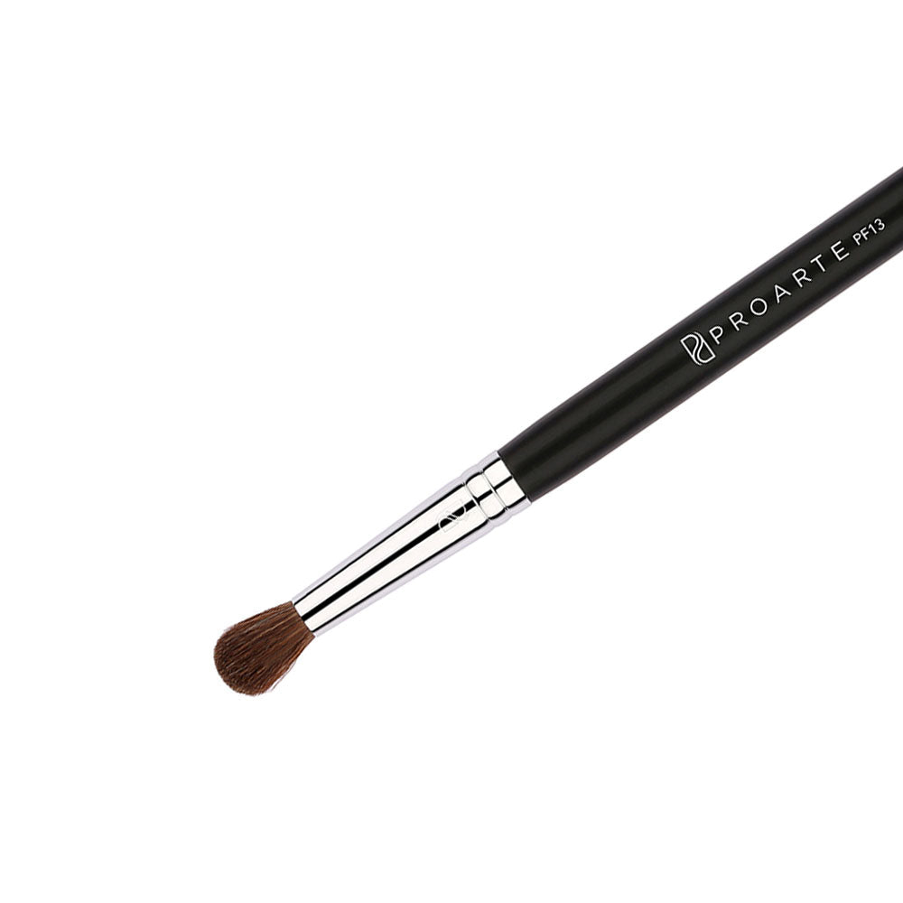 Proarte PF13 All Over Concealer Brush