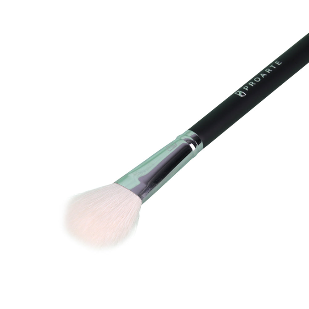Proarte PF55 Blush Brush