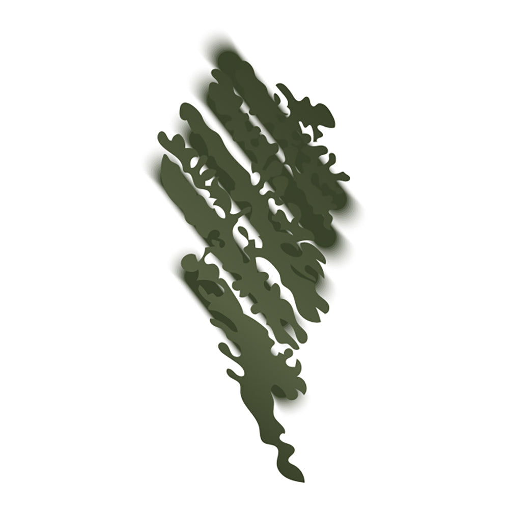 Proarte 004 Olive 24Hrs Express Eye Liner