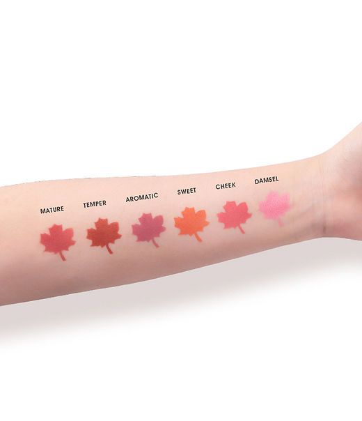 IMAGIC PROfessional Cosmetic Touch Blush Palette 6 Color