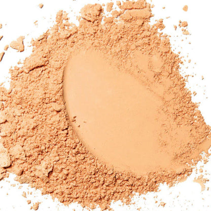 Two Way Cake forever52 Compact Powder