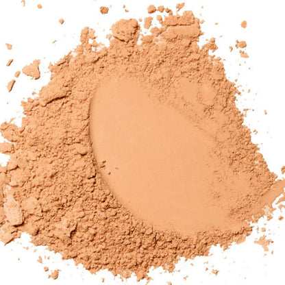 Two Way Cake forever52 Compact Powder