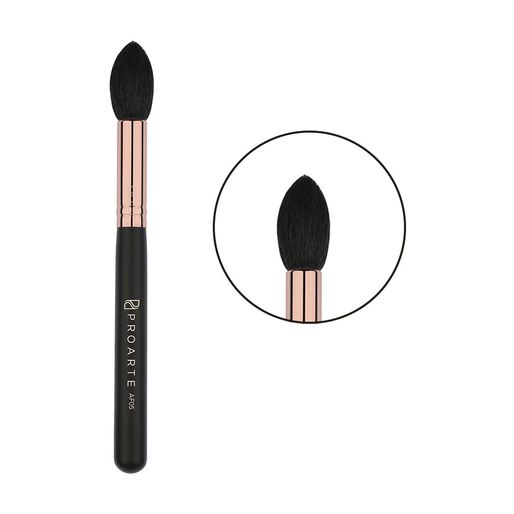 Proarte AF05 Precision Powder Applicator Brush