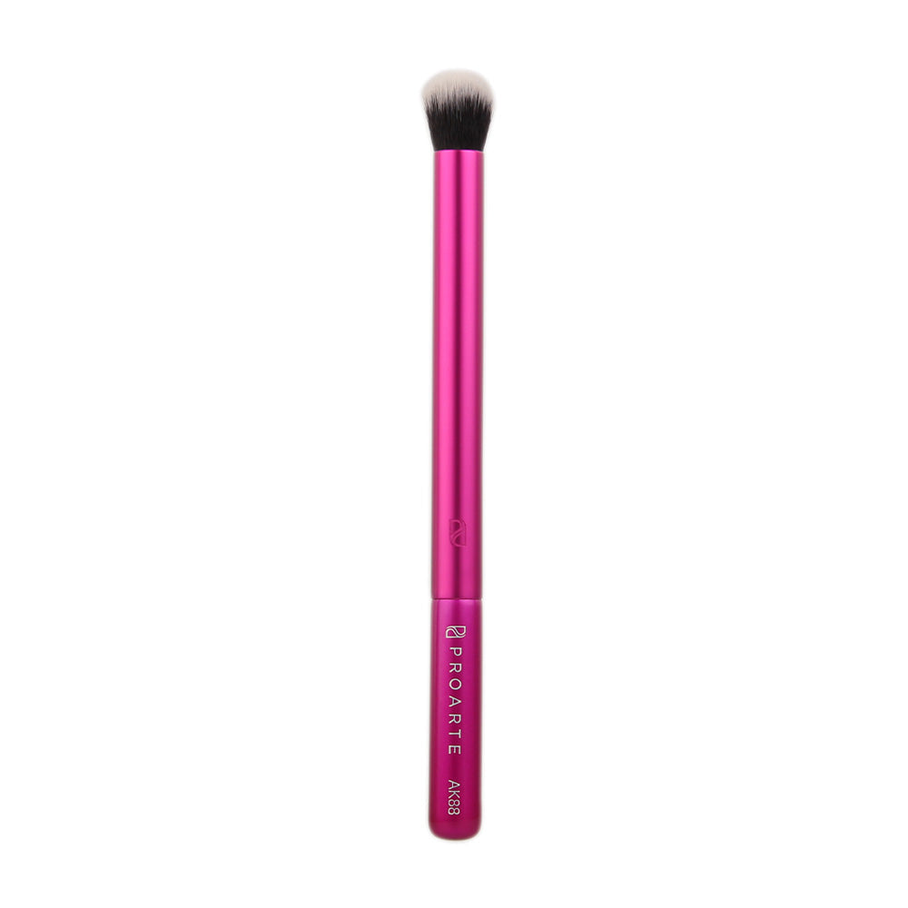 Proarte AK88 Kabuki Crease Defense Brush