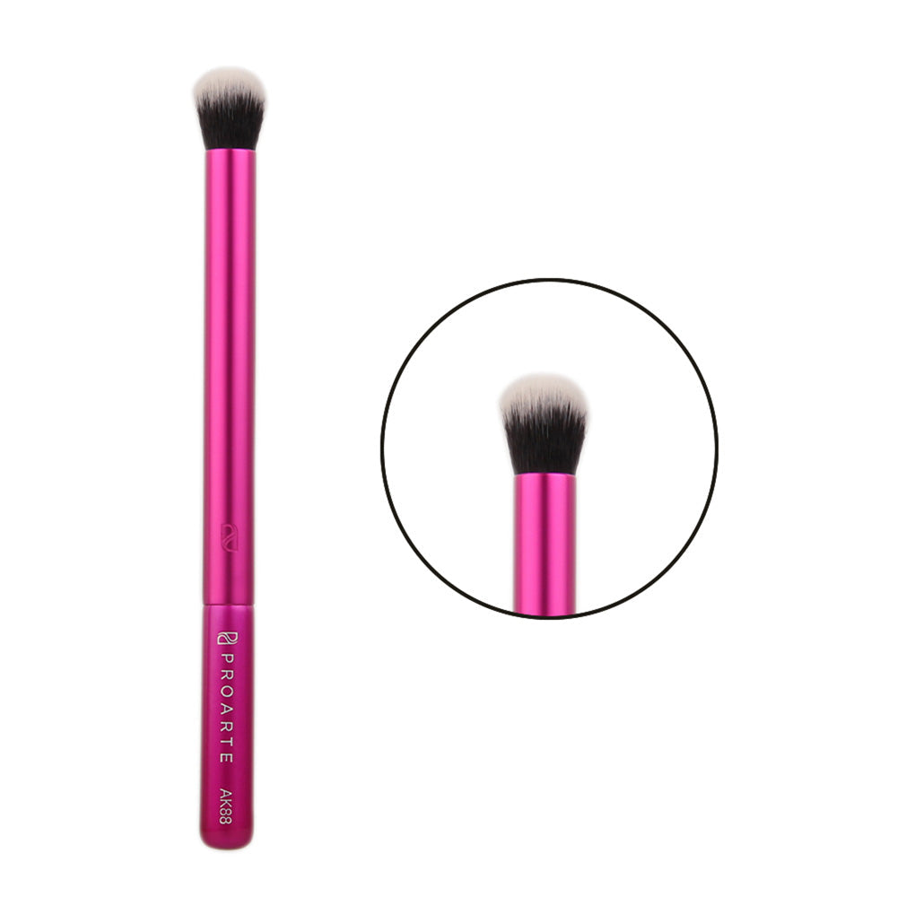 Proarte AK88 Kabuki Crease Defense Brush