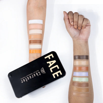 Character 15 Shades Pro Concealer Palette C-A302