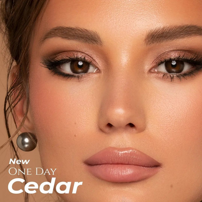 Bella Color Contact Lenses