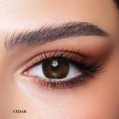 Bella Color Contact Lenses