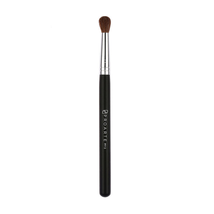 Proarte PF13 All Over Concealer Brush