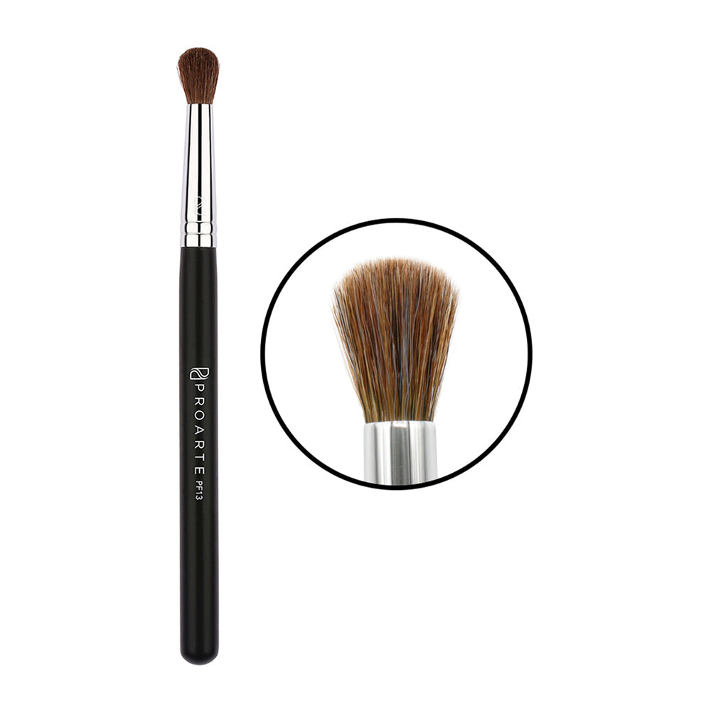 Proarte PF13 All Over Concealer Brush