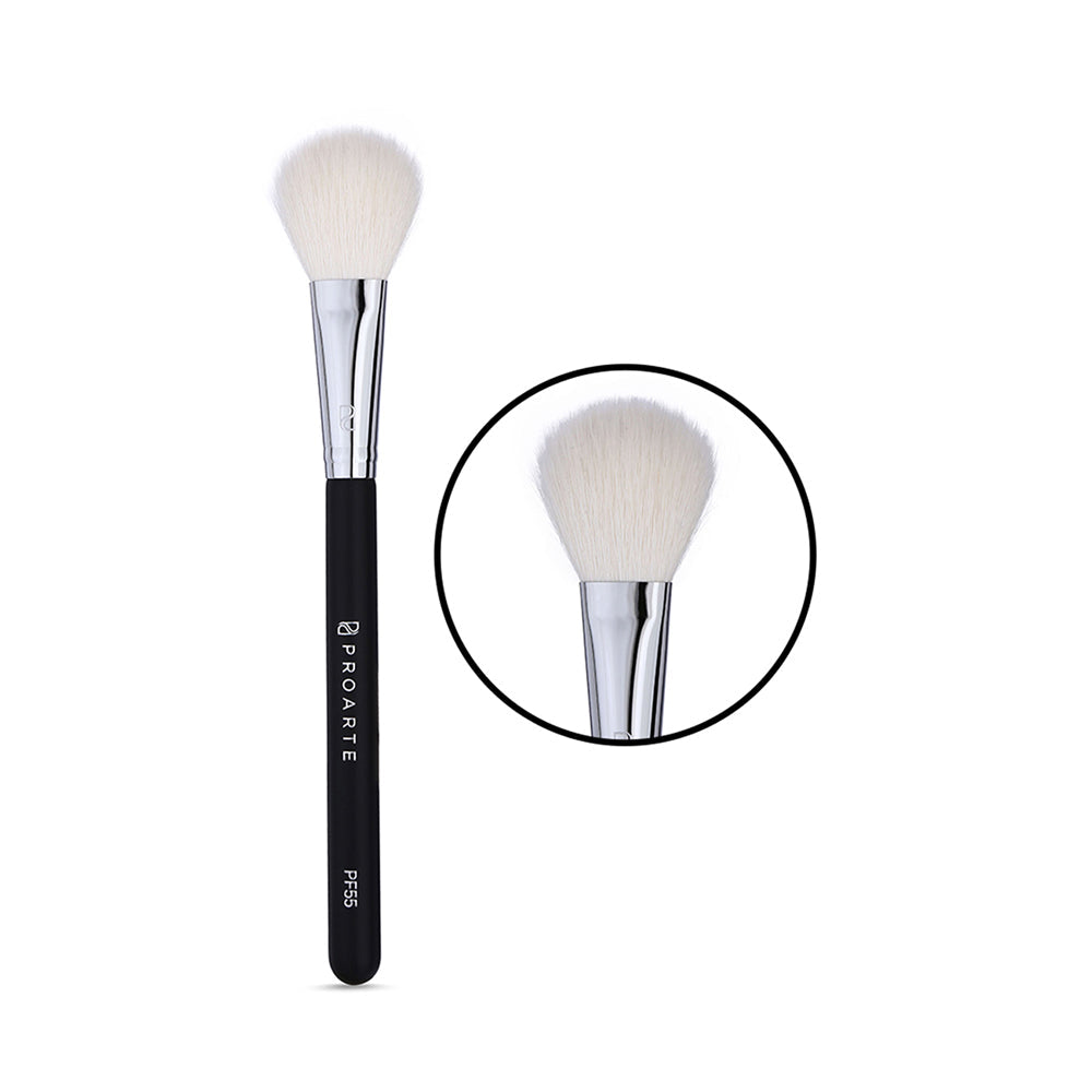 Proarte PF55 Blush Brush