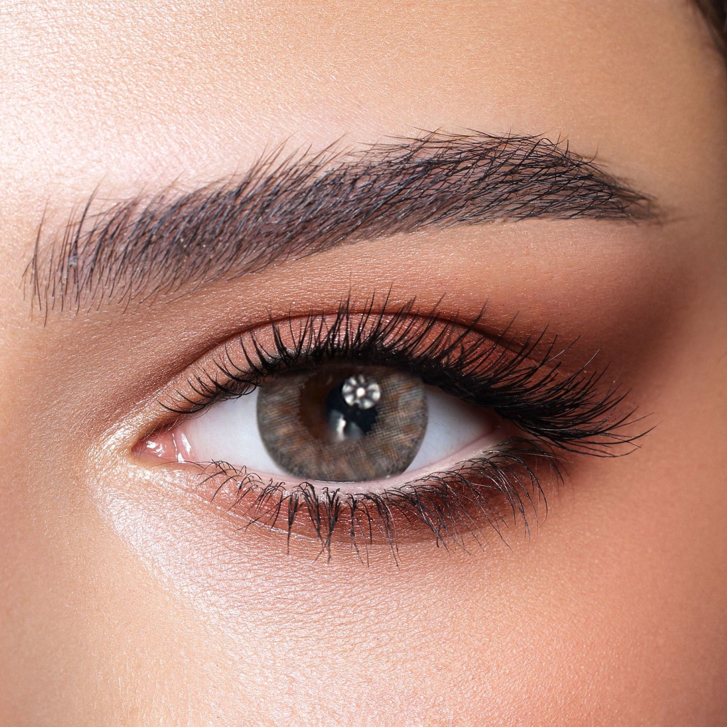 Bella Color Contact Lenses