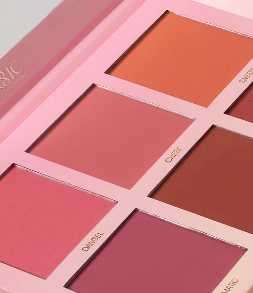 IMAGIC PROfessional Cosmetic Touch Blush Palette 6 Color