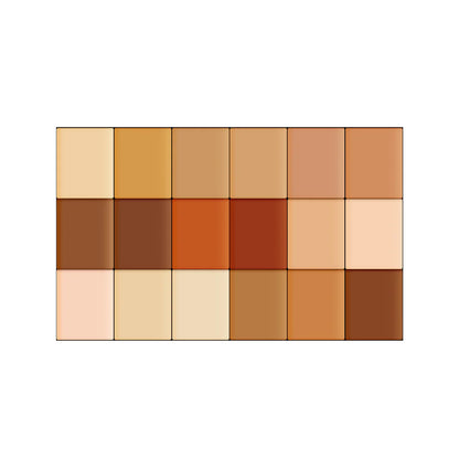 Shopaarel Concealer Palette (18 Shades)